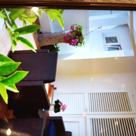 Apartmani Trubi 1 Vodice Bagian luar foto