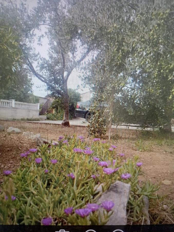 Apartmani Trubi 1 Vodice Bagian luar foto