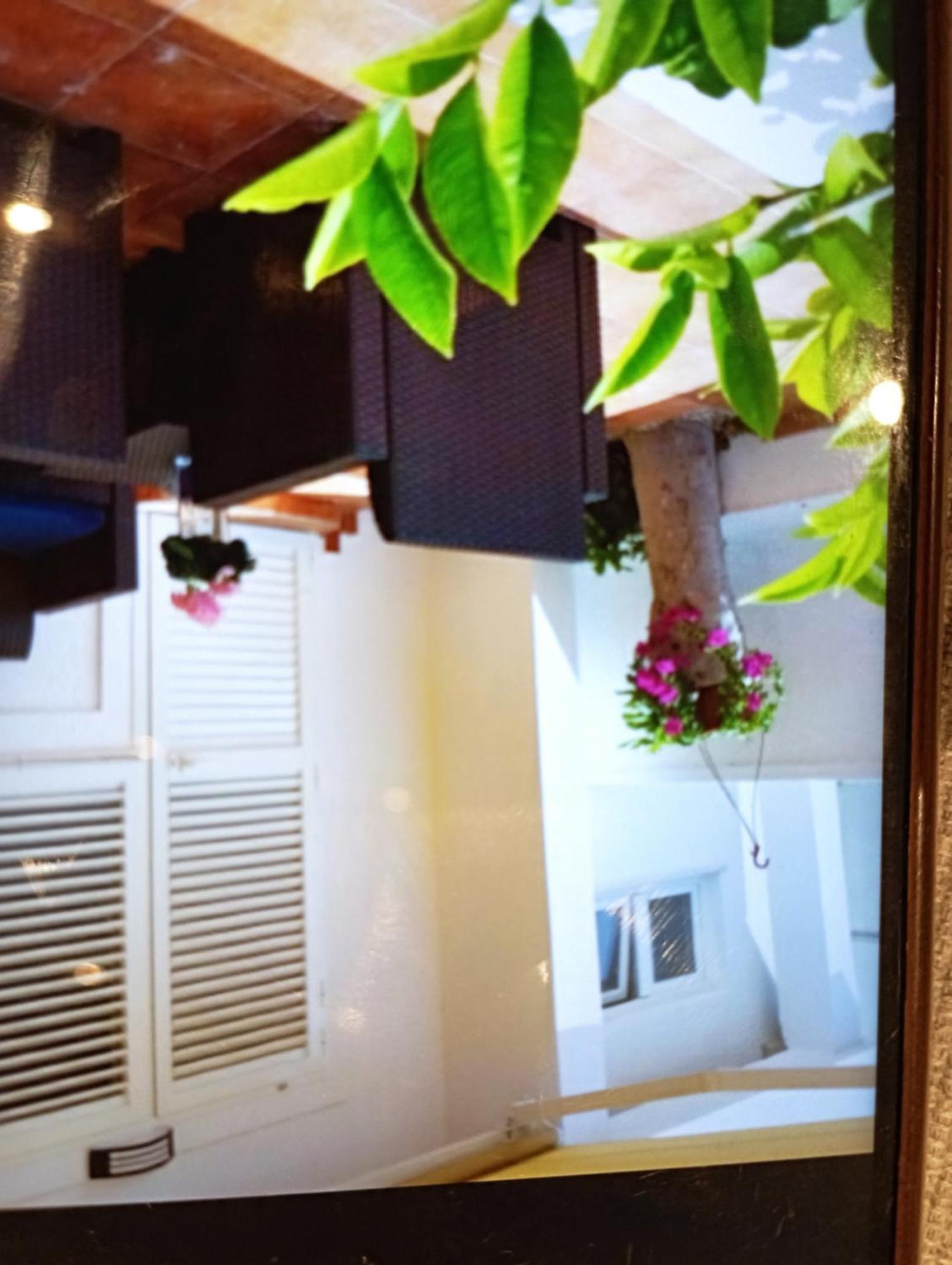 Apartmani Trubi 1 Vodice Bagian luar foto